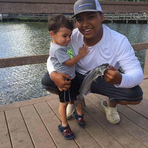 Meet your Posher, Alex